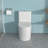 Ceramic One Piece Toilet, 12-Inch Rough-In, Dual Flush With Soft Closing Seat