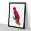 An Eclectus Parrot by F. Levaillant - Single Picture Frame Painting-55545009-55545013