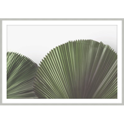 Tropical Leaves 4 Framed Art Print