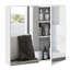 Armoire de salle de bain avec miroir