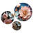 Wall Decor on Metal