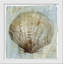 Shell Dreams I Painting