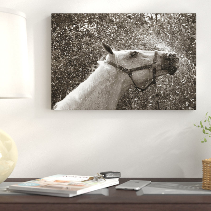 «After a Shower» par Jim Dratfield, reproduction sur toile tendue avec châssis, H 18 po x l 26 po x P 1,5 po, Toile tendue