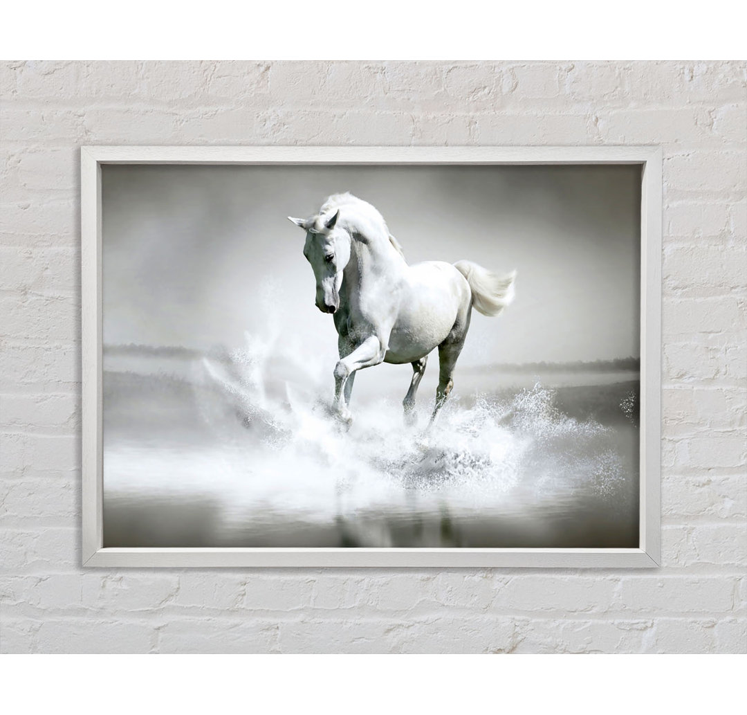 White Water Horse - Druck