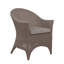 Cape Cod Patio Dining Chair with Cushion (Set of 2)-50124722-50124771