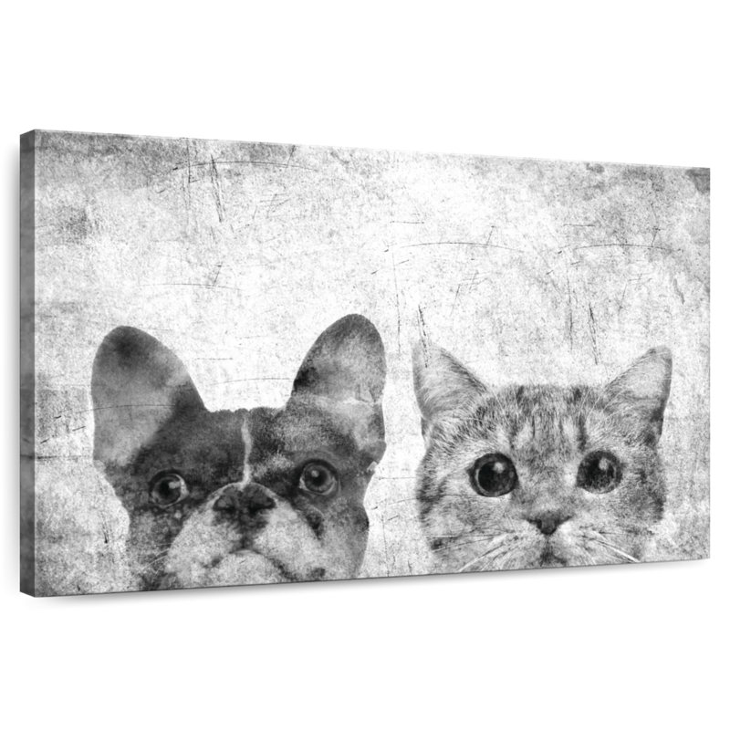 Brampt animaux de compagnie noir et blanc, H 16 po x l 24 po