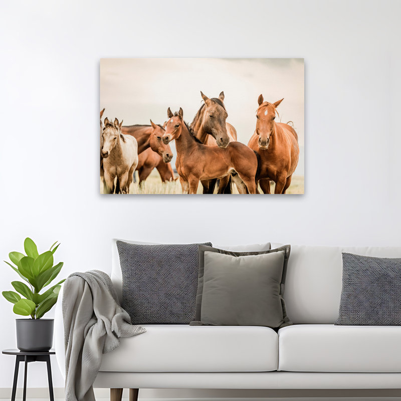 Hartville - photographie, animaux, faune, chevaux, art, H 32 po x l 48 po