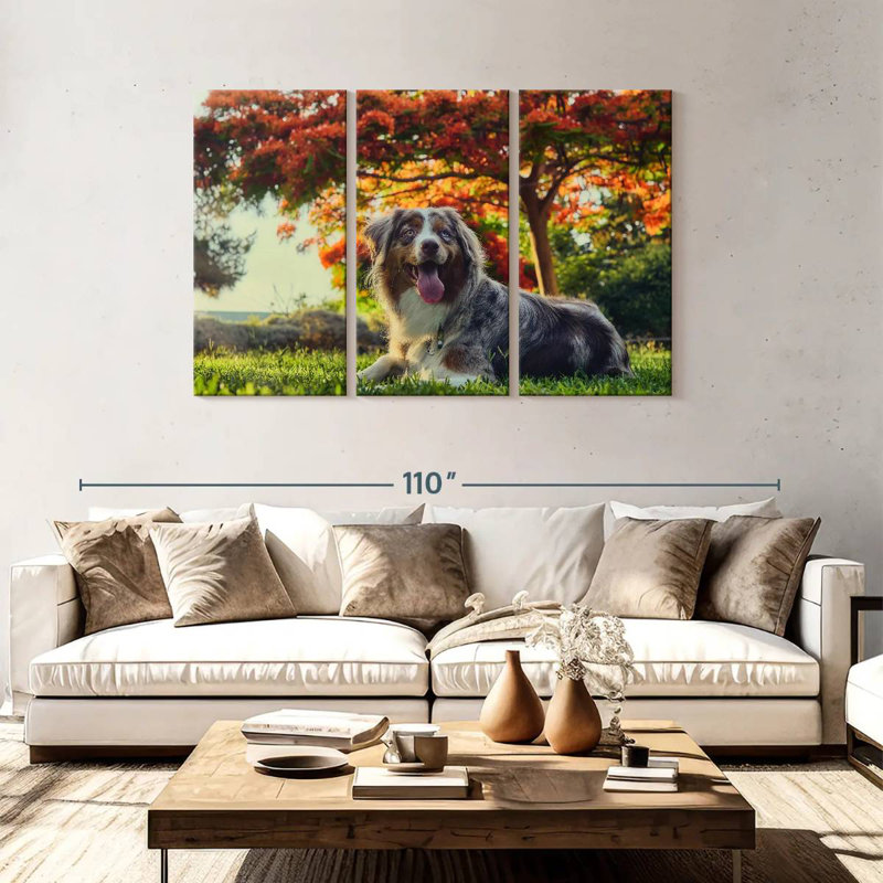 Brampt Cherry Border Collie, 48" H x 74" W