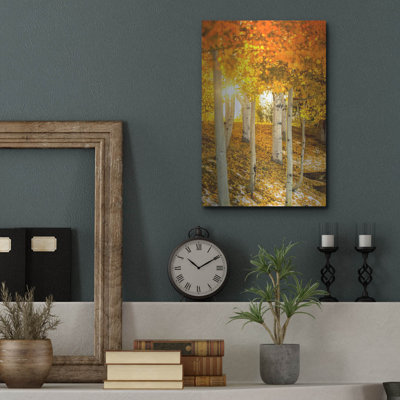 " Aspen Glow " by Jonathan Ross