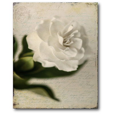 « belle gardenia ii », impression sur toile tendue