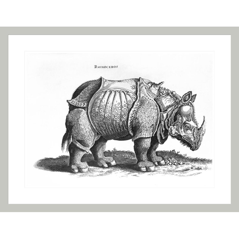 «Rhinoceros no 76» par «historique animal» par Conrad Gesner (1516-65) par Albrecht Dürer, impression giclée encadrée