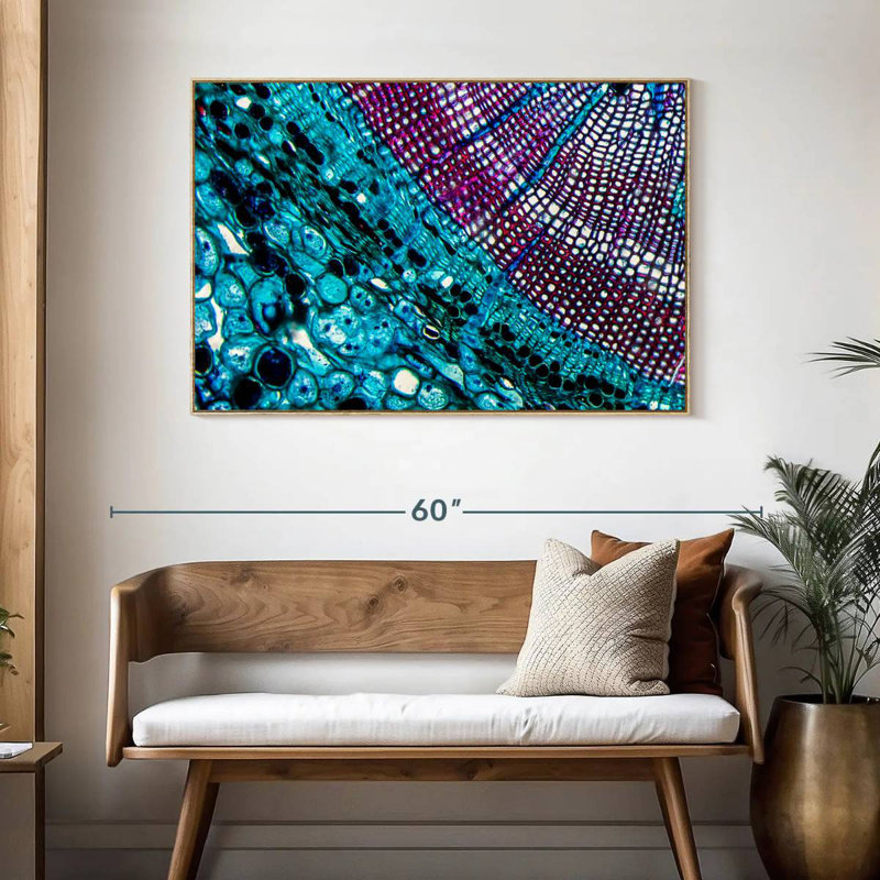 Pine Stem Under Microscope, Floating Frame Natural Wood, 46" X 31"