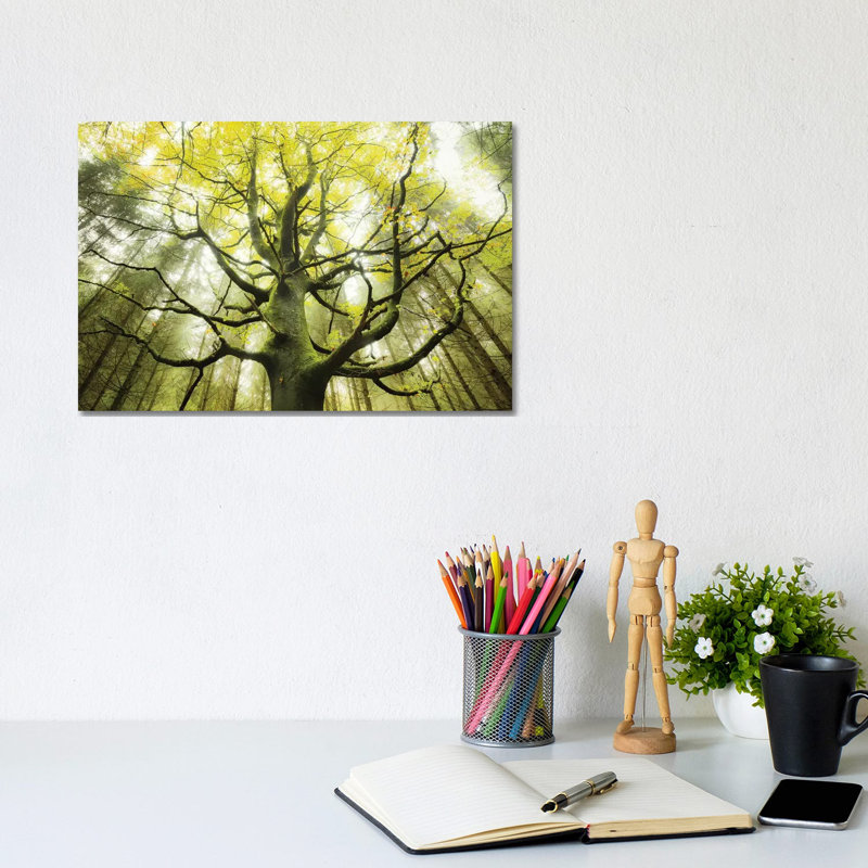 The Dreamtree by Stefan Hefele - Wrapped Canvas Print, 20.32 cm H x 30.48 cm W