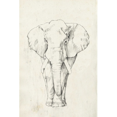 Portrait d'éléphant I