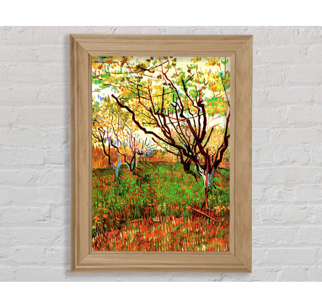 Van Gogh Orchard In Blossom - Einzelner Bilderrahmen Kunstdrucke