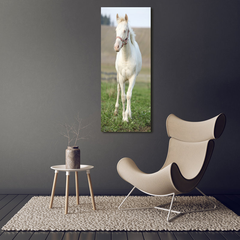 Albino Horse - Wrapped Canvas Print