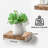  9" Square Tile Floating Shelves with Invisible Brackets Set of 3 in Mahogany