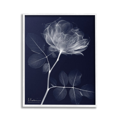 DynamicDarkFlowerGicleeArtbyAlbertKoetsier