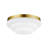 Raik Glass Flush Mount