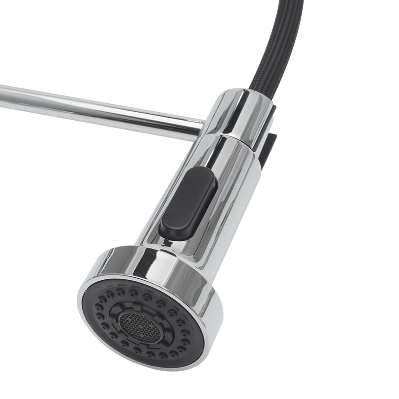 Belfry Kitchen Ailsa Kitchen Faucet, Silver