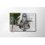 Peinture décorative en verre trempé Banksy, 11,8 po x 17,7 po | 100% verre trempé, épaisseur: 0,2 pouce | Superbe œuvre d'art pour la décoration intérieure, cadeau unique, ajoute une touche moderne à n'importe quel espace-1149721270