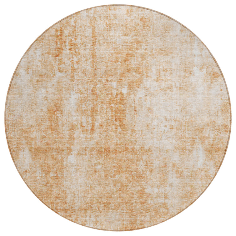  Caseville Area Rug