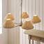 5 - Light Cluster Chandelier-237647775
