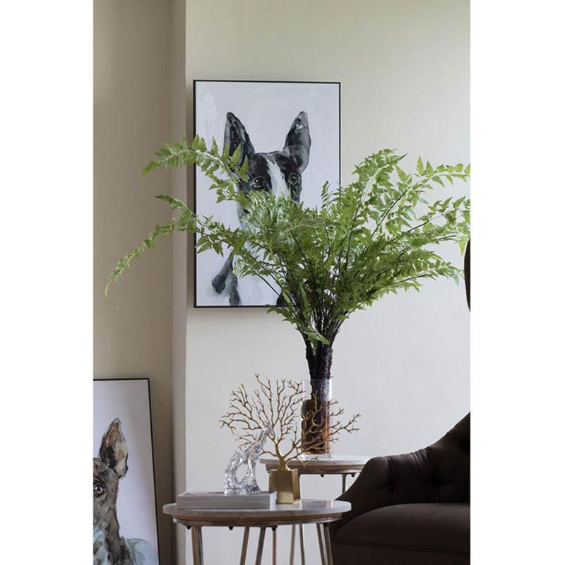 Fern Arrangement