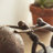 Polystone People Decorative Brown Sculpture with Ball