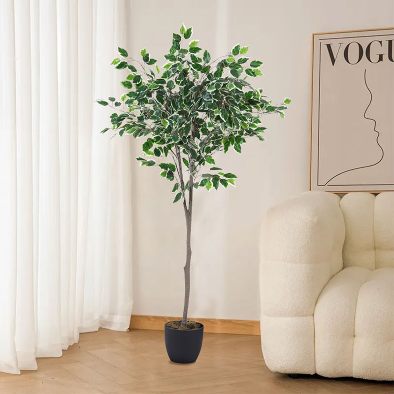 150cm Faux Ficus Tree in Freestanding