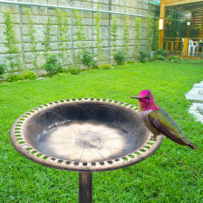 Salome Plastic / Acrylic Fountain Birdbath, Brown