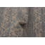 Robinne Chenille Geometric Indoor Rug
