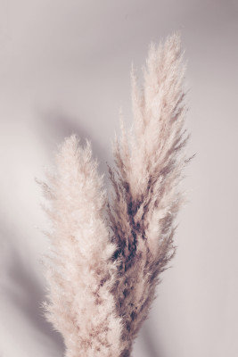 Wrapped Canvas Print, 76.2 cm H x 50.8 cm W