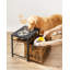 Kimmel Elevated Feeder