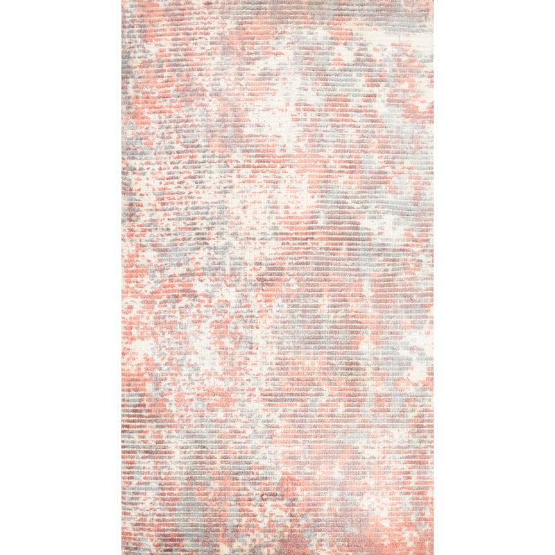 Tapis à motif moderne d'aspect vieilli 2x4