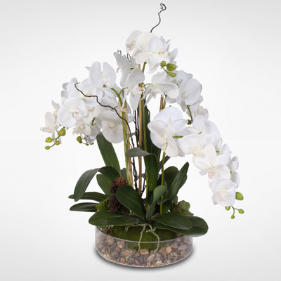 Cia Polyether Polyurethane (PU) Orchids Arrangement in Pot