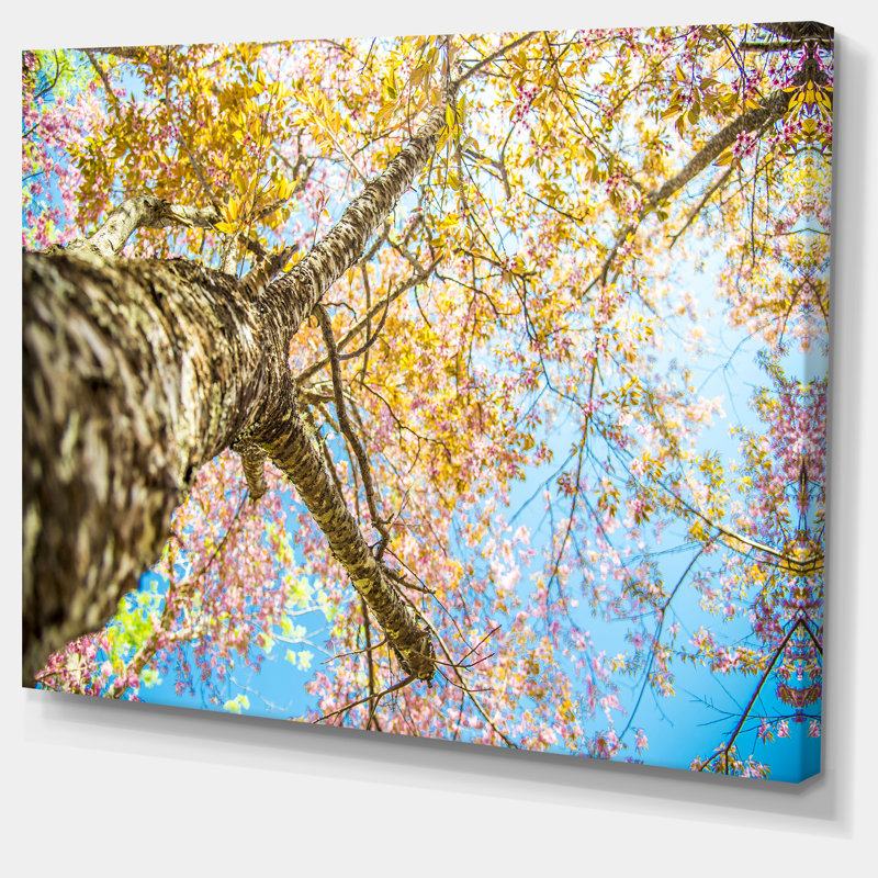 Under Branch of Yellow Cherry Tree - reproduction de photo sur toile tendue, H 30 po x l 40 po x P 1 po