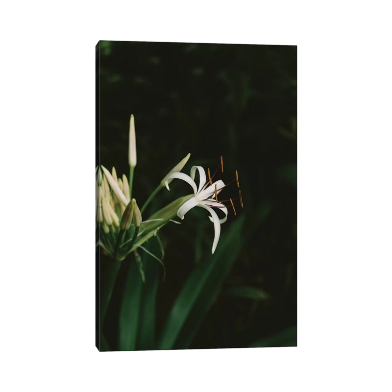 Tropical Hawaii X by Bethany Young - Print on Canvas, 30.48cm H x 20.32cm W x 1.91cm D, Wrapped Canvas