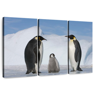 Brampt Family Of Penguins