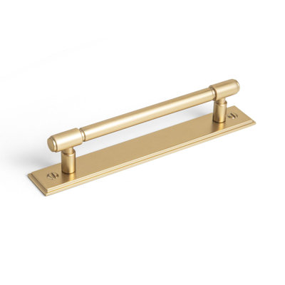 Bar Cabinet Pull with Backplate