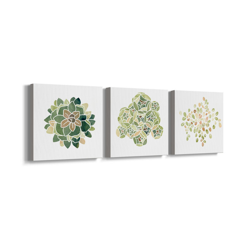 «Succulent Cameo VI», ensemble de 3 toiles tendues, H 40 po x l 80 po x P 1 po