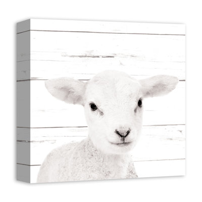 Canvas Art
