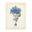 Art sur toile «Antique Coral In Navy III» par Johann Esper-423039473