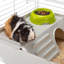 Small Animal Cage
