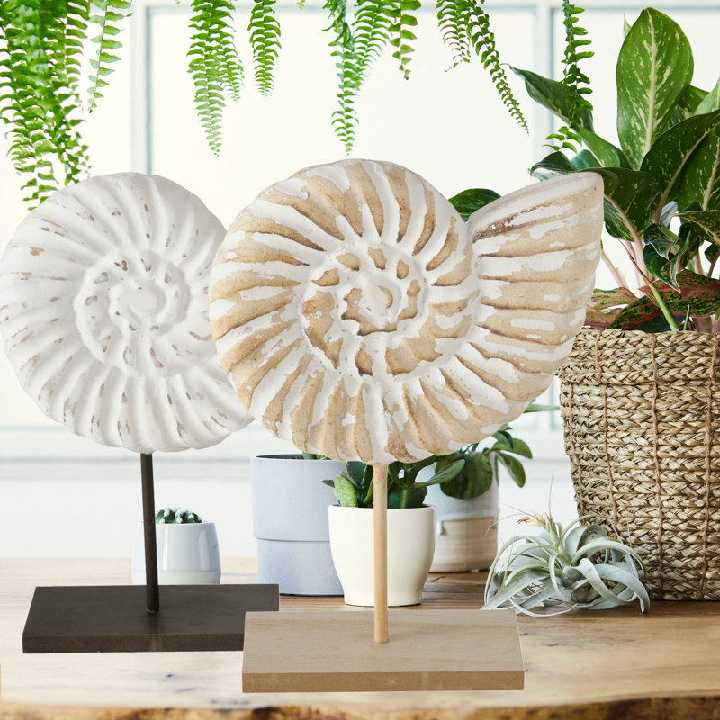 Sculpture coquille Wadhurst Nautilus