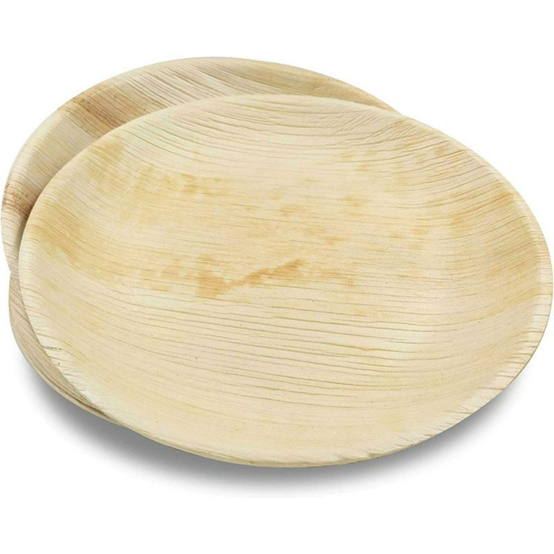 Disposable Birthday Dinner Plate
