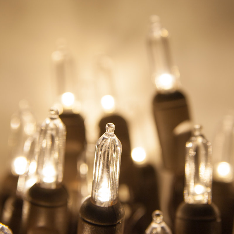 Éclairage à DEL constant 50 guirlandes lumineuses, Blanc chaud