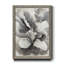 Subtil Glam - impression encadrée sur papier-940802740-940802736