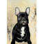 French bulldog - 24"x36" Framed canvas