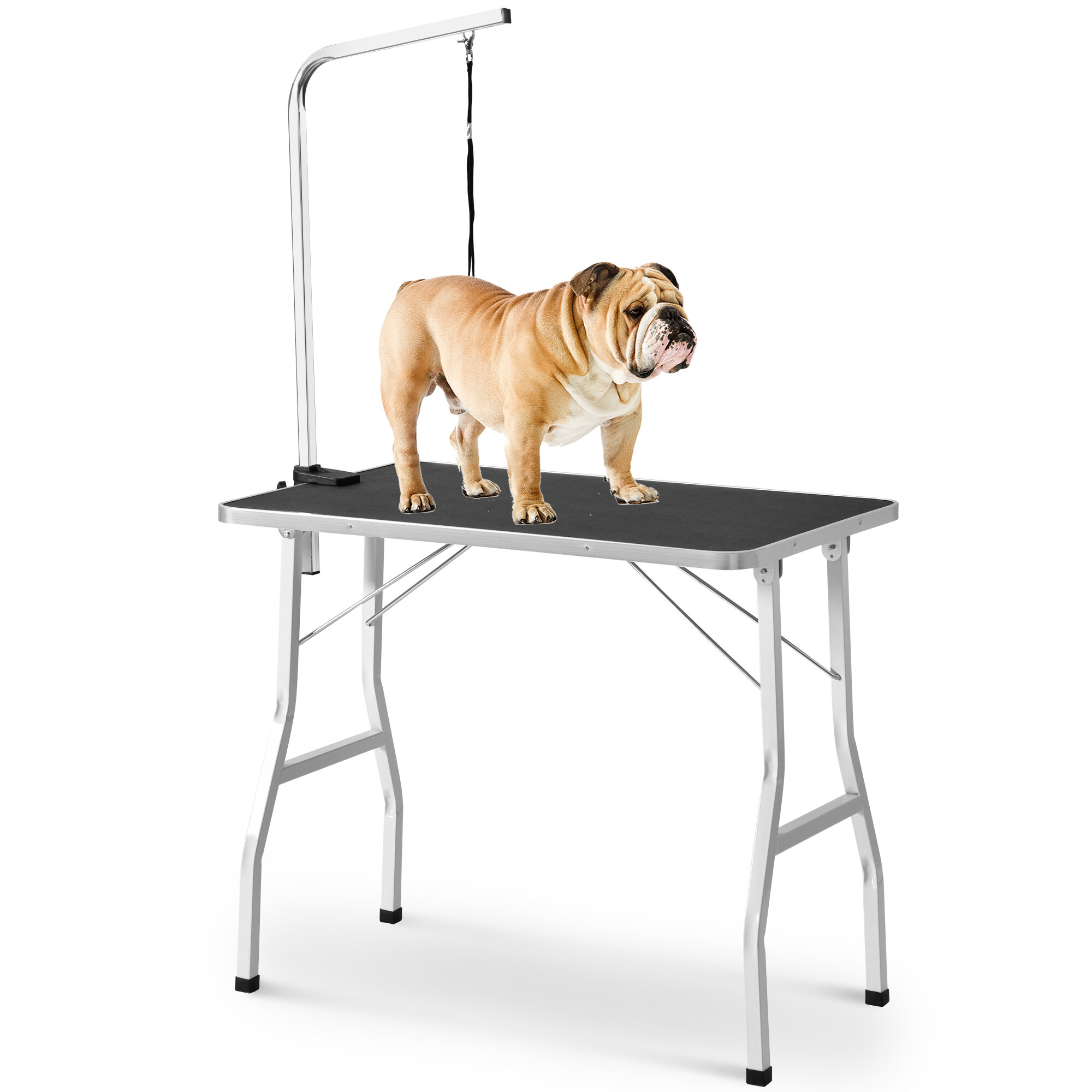 Pets table. Стол для груминга собак. Стол грумера круглый. Стол для груминга больших собак. Стул для собак груминг.